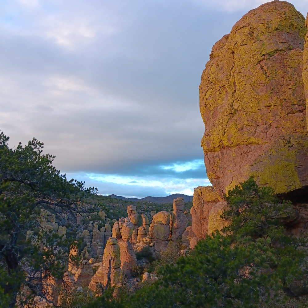 Meet your Posher, Bonnie